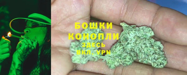 гашик Липки