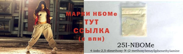 прущие грибы Долгопрудный