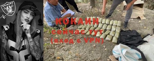 гашик Липки