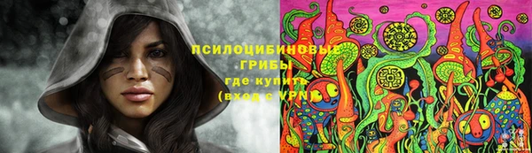 гашик Липки