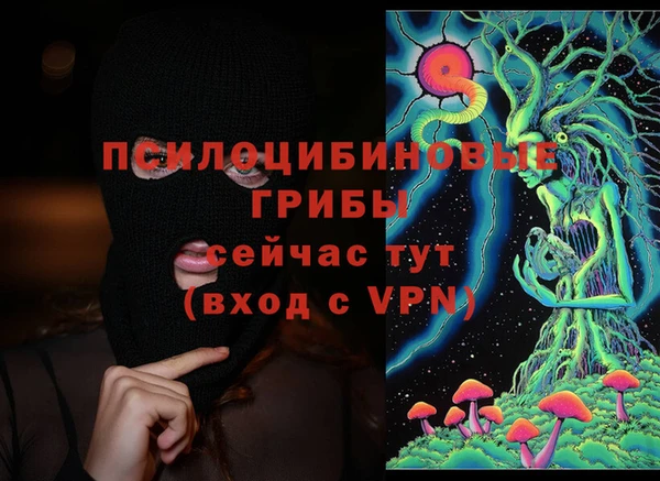 гашик Липки
